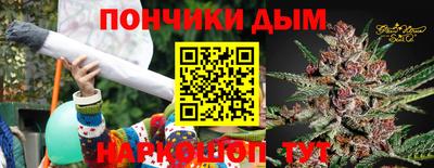 сатива Ставрополь