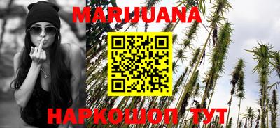 сатива Ставрополь