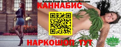 сатива Ставрополь