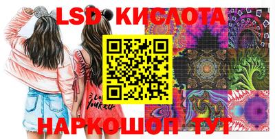 сатива Ставрополь