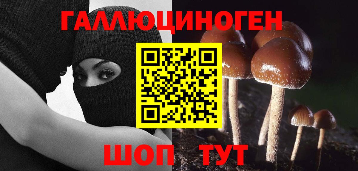 Галлюциногенные грибы прущие грибы  Вход с VPN  Новороссийск 