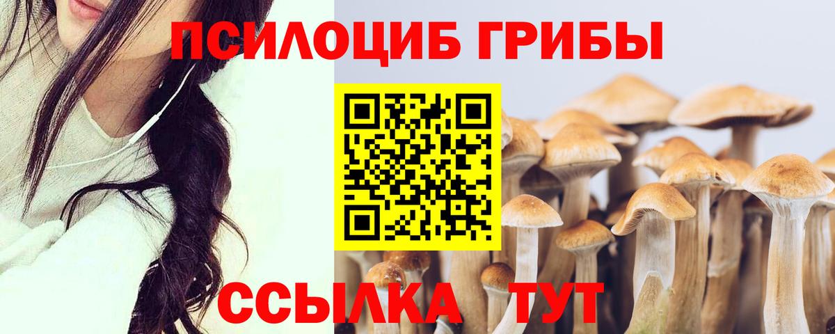 Галлюциногенные грибы мицелий Новороссийск